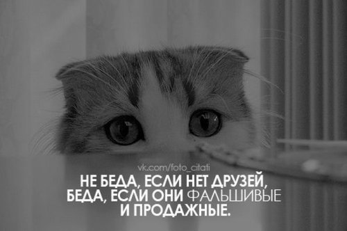 Фразы и статусы в картинках