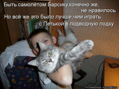 Лучшие котоматрицы