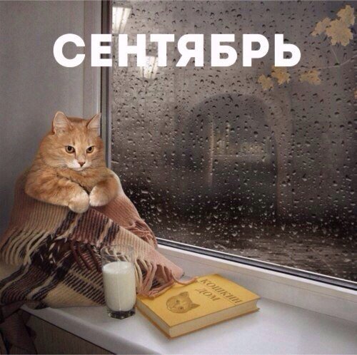 Суровый сентябрь