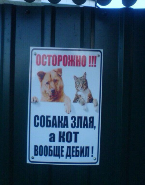 Креативный хозяин