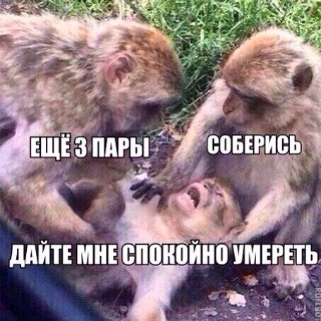Что вы знаете о безысходности